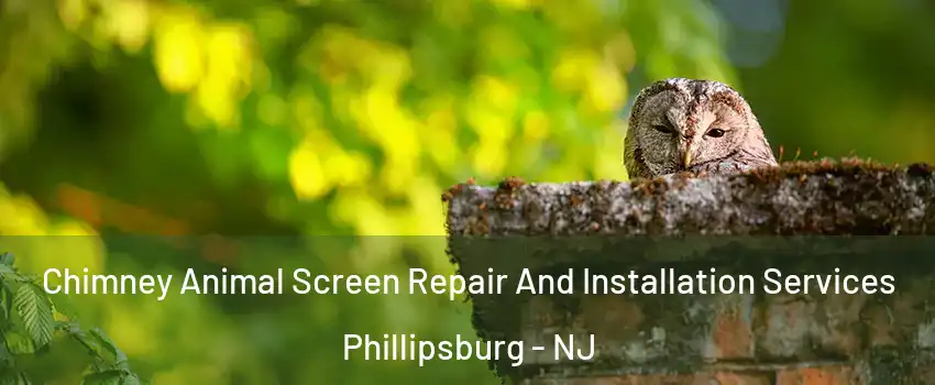  Chimney Animal Screen Repair And Installation Services Phillipsburg - NJ