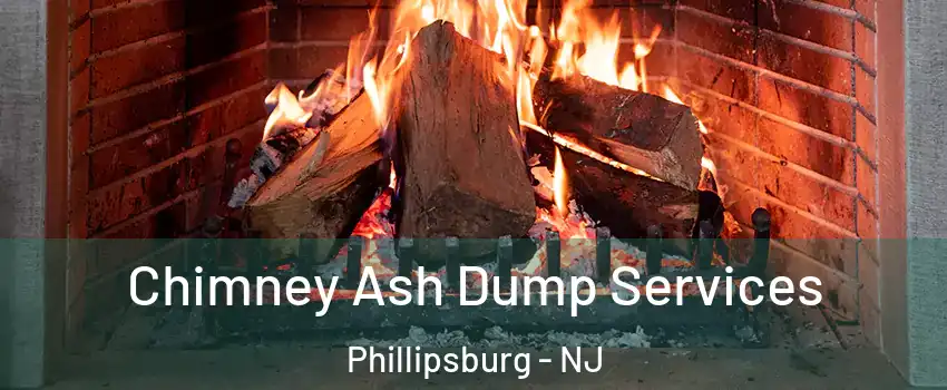  Chimney Ash Dump Services Phillipsburg - NJ