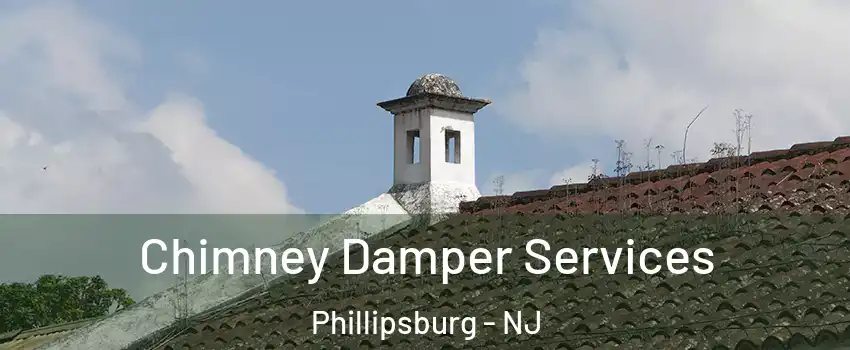  Chimney Damper Services Phillipsburg - NJ