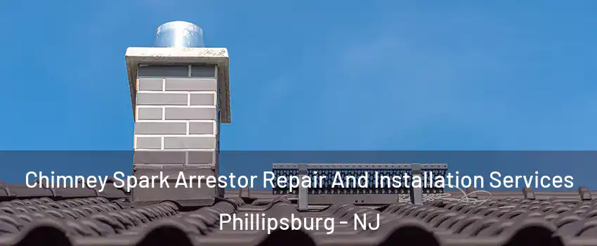  Chimney Spark Arrestor Repair And Installation Services Phillipsburg - NJ