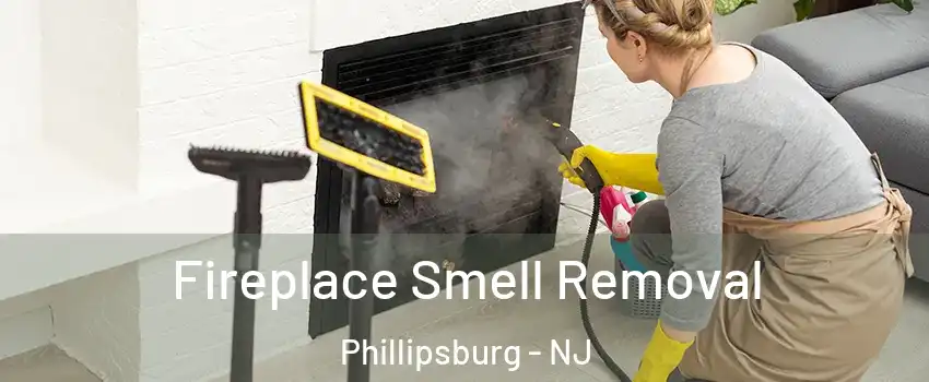  Fireplace Smell Removal Phillipsburg - NJ