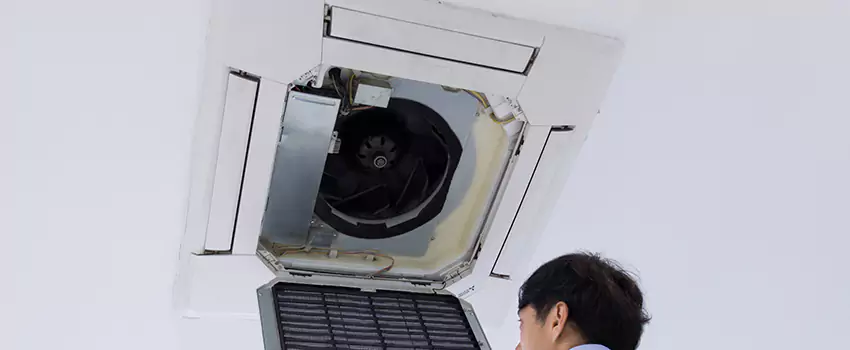 Benefits of Professional Air Duct Cleaning in Phillipsburg, New Jersey