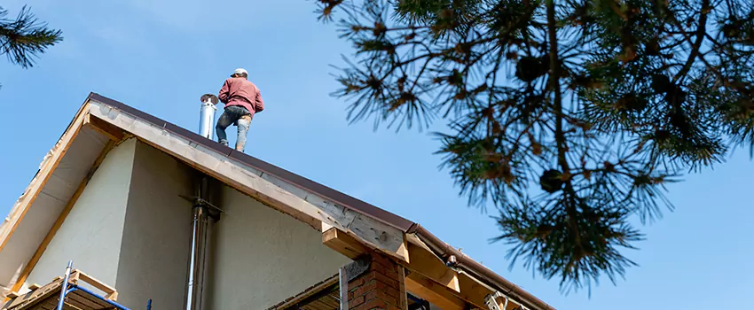 Birds Removal Contractors from Chimney in Phillipsburg, NJ