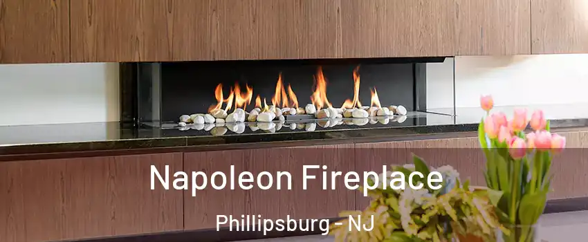 Napoleon Fireplace Phillipsburg - NJ