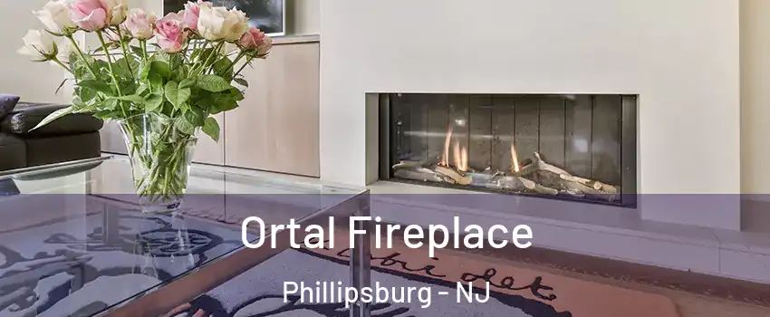  Ortal Fireplace Phillipsburg - NJ